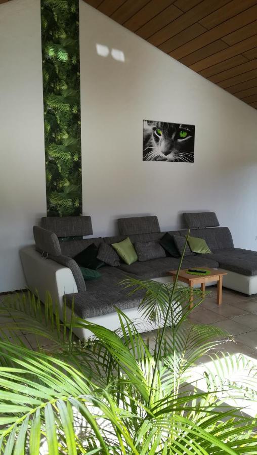 Ferienwohnung Fröhlich Dorfprozelten Exterior foto